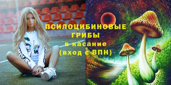 гидропоника Медвежьегорск